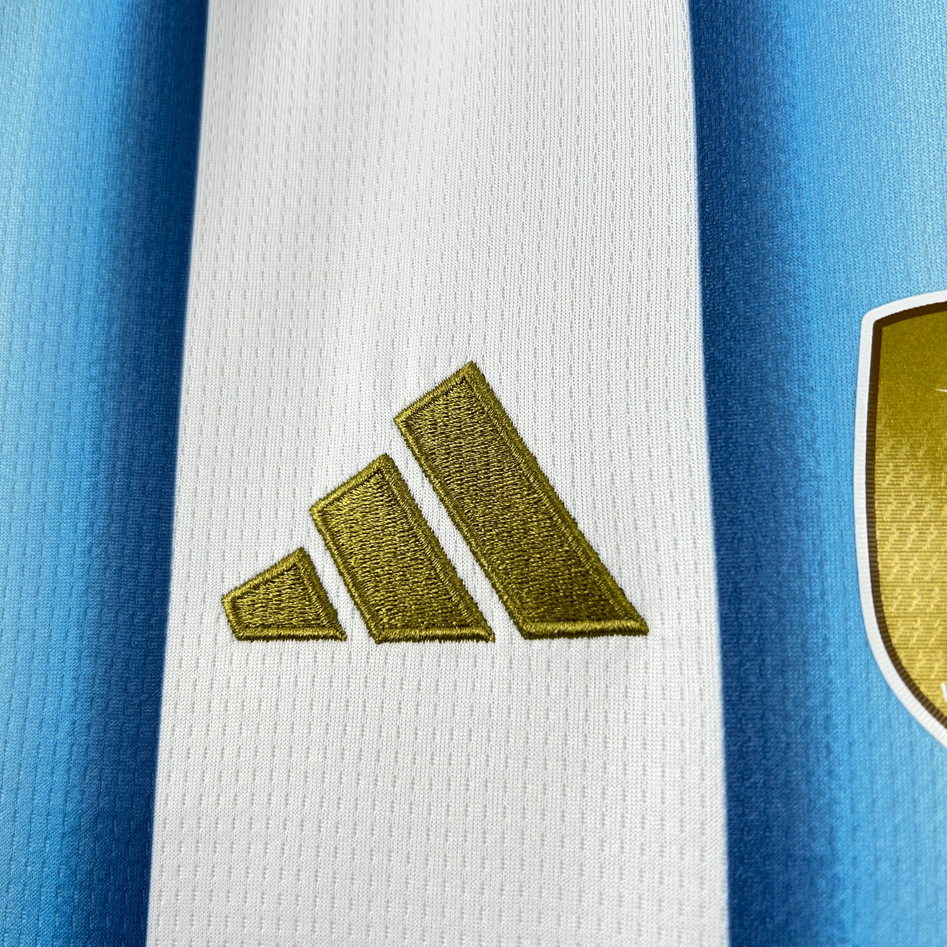 Womens 2026 Argentina Home World Cup Football Shirt 4